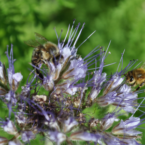 i282600889639581558._szw1280h1280_