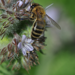 i282600889639581606._szw1280h1280_