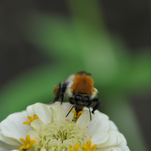 i282600889639581629._szw1280h1280_