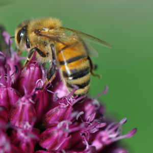 i282600889639581644._szw1280h1280_